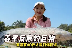 钓巨物大青，我和老板心连心，老板和我玩脑筋 #dou是钓鱼人 #2025dou来钓鱼 #领路人刺客 #领路人刺客2代 #钓鱼人为了钓到大鱼有多拼视频封面