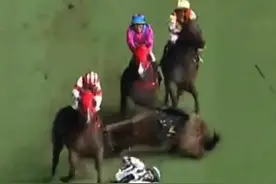 【跑马地连环坠马，1马匹不治3骑师坠马2人送院】
香港跑马地马场昨晚（6月25日）发生连环坠马意外，“四季醒”终点前100米突失蹄跪下，骑师希威森当场被抛飞。后方“连连幸运”、“好多利高”闪避不及追撞，共造成3骑师坠马。“四季醒”左前腿球节严重骨裂，伤势过重需人道毁减；“连连幸运”、“好多利高”送马医院检验。
#香港  #跑马地  #坠马