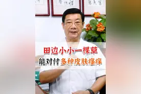田边小小一棵草，能对付多种皮肤瘙痒#湿疹 #荨麻疹 #鱼腥草 #中医养生 #硬核健康科普行动  @抖音短视频视频封面