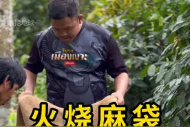 接榴莲的时候把麻袋烧一下！这是什么操作？ #接榴莲 #科普 #涨知识视频封面