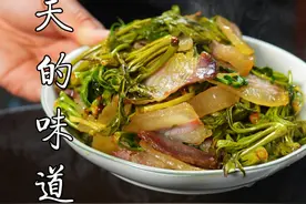 春天的味道 一口一个春天，春天就是要吃野菜。 #春天的味道 #乡野春日地图 #野菜 #尝一口春天的味道 #抖音花朝会2025视频封面
