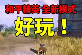 试玩和平精英新模式《奇幻大乱斗》太好玩了，我又爱上和平了