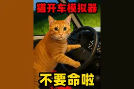 奇葩游戏：猫会开车！狗还敢坐车？这只猫究竟有多狂？ #单机游戏