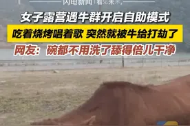 3月8日，浙江宁波。女子露营遇牛群开启自助模式。吃着烧烤唱着歌，突然就被牛给打劫了。网友：碗都不用洗了舔得倍儿干净。#这牛厉害了 #自助餐 #动物的迷惑行为视频封面