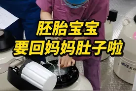 今天有胚胎宝宝要回妈妈肚子啦，希望宝宝着床顺利 #胚胎移植 #试管移植 #备孕 #抖出健康知识宝藏视频封面