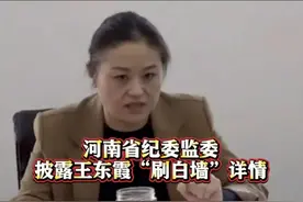 镇“一把手”为应付检查 ，花近250万给21个村刷白墙 #河南省纪委监委  #形象工程视频封面