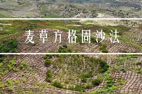 麦草方格治沙，让沙漠有了新生命，一格格方格编织着希望， 沙漠不再无情，麦草方格让它有了绿色的未来，治沙让梦想变成了现实！#治沙人 #沙漠变绿洲 #防沙治沙 #宁夏 #麦草方格视频封面
