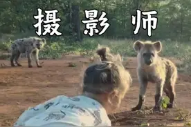 史上最硬核的摄影师，带你看看野生动物纪录片是如何拍摄的。