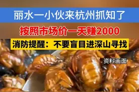 丽水一小伙来杭州抓知了，按照市场价一天赚2000，消防提醒：不要盲目进深山寻找#浙江dou知道 #知了