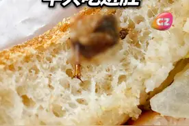 品牌连锁快餐店面包现蟑螂！报料人：有半只吃进了肚子，已报12345热线。#G4有料到