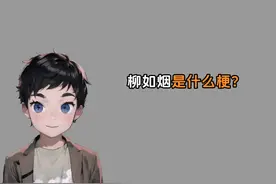 柳如烟是什么梗？#冷知识 #省流视频封面