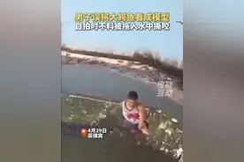 男子误将大鳄鱼看成模型，自拍时不料被拖入水中撕咬 #鳄鱼视频封面