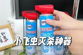 家里到处都是小飞虫，比蚊子还讨厌，教你一招几分钟就能全消灭#杀虫杀虫气雾剂 #老管家