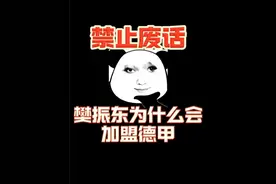 为什么樊振东去德甲打比赛大家都为他感到高兴？ #省流 #樊振东