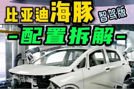 海豚智驾版：三大配置怎么选｜新款有隐藏升级 #比亚迪海豚 #海豚智驾版 #高阶智驾 #十万左右性价比高的车型推荐 #大众id3视频封面