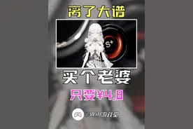 买个老婆 只要¥4.8 好家伙啊 #steam #steam游戏 #游戏鉴赏家视频封面