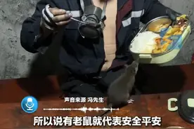 4月8日（报道），矿下工人吃饭时迎来特殊“客人”，他们经常会把自己的食物留给老鼠一份：有老鼠就代表着安全平安。#矿工 #安全员视频封面