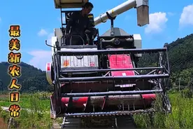 收割机怎么运到田？怎么上下车？看视频，第一视角带你体验#三农 #新农人计划2024#微光点亮乡村 #现代农业机械 #农业种植视频封面