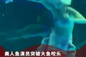 美人鱼演员突被大鱼咬头，景区：鲟鱼没有牙齿，演员无大碍视频封面