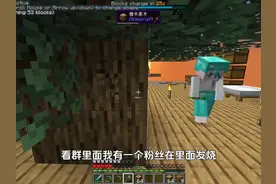 《棒棒糖》#我的世界 #游戏视频封面