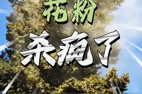 春天花粉过敏的“元凶”不是花，是圆柏树！#过敏 #圆柏视频封面