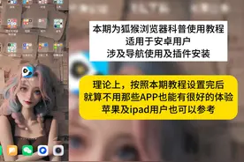 安装个插件就变YS软件了？ 详细介绍了狐猴浏览器的使用视频封面