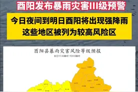 酉阳发布暴雨灾害Ⅲ级预警！今日夜间到明日酉阳将出现强降雨，这些地区被列为高风险区。#重庆暴雨 #天气视频封面