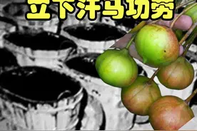 桐油，在抗战中立下汗马功劳。 #抗战 #民国历史 #抗日战争 #国家记忆 #收藏爱好者