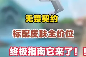 无畏契约标配皮肤全价位终极指南它来了！ #无畏契约 #瓦学弟