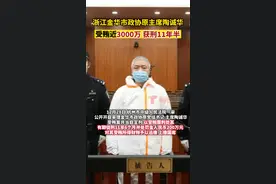12月28日，浙江省杭州市中级人民法院一审公开开庭审理金华市政协原党组书记、主席陶诚华受贿案并当庭宣判，以受贿罪判处被告人有期徒刑十一年六个月，并处罚金人民币二百万元视频封面