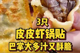 我好像走不出天津了，巴掌大的皮皮虾锅贴真是吃服我了！听着张口就是相声的天津本地人唠嗑，太喜欢啦！#天津菜好吃还带梗 #抖音生活美食季 #来春天里尝鲜 #食力去班味 #天津美食视频封面