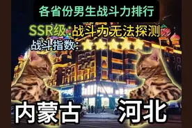 各省份男生战斗力排行 #猫meme #猫meme日常 #排行榜 #男生视频封面