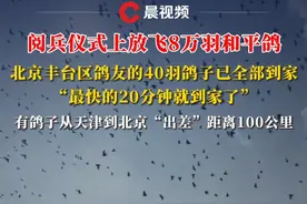 阅兵仪式上放飞8万羽和平鸽，北京丰台区鸽友的40羽鸽子已全部到家：最快的20分钟就到家了#抗战胜利80周年  #我们的胜利  #媒体精选计划 #和平鸽