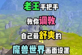 魔兽世界既想要高画质，又想要流畅不卡？老王手把手教你设置！ #魔兽世界 #魔兽世界正式服 #魔兽世界怀旧服 #魔兽世界二十周年