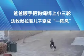 爸爸顺手把狗绳绑上小三轮，边牧就拉着儿子变成“一阵风”。没想到骑上电车都追不上!#搞笑 #边牧 #意不意外 （来源@杨miffy ）视频封面