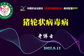 •猪轮状病毒病是由轮状病毒感染引起仔猪爆发消化道功能紊乱的…