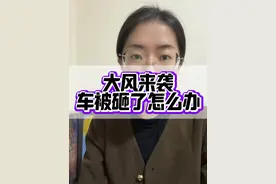 大风来袭，车被砸了怎么索赔？ #大风 #汽车 #法律咨询视频封面