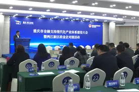 重庆市金融支持现代化产业体系建设大会暨两江新区政金企对接活…视频封面