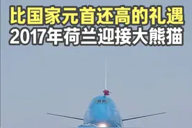 比国家元首还高的礼遇，2017年荷兰迎接大熊猫，堪比帝王出巡视频封面