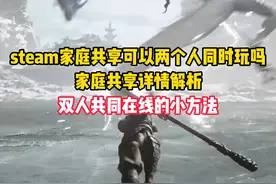 steam家庭共享可以两个人同时玩吗，家庭共享详情解析