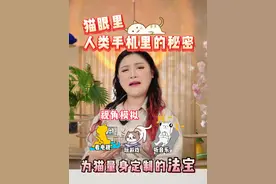 人类手机里居然藏着这么多猫界的法宝？快快收藏！ #萌宠出道计划 #科学养宠攻略 #猫咪每天都在忙什么 #猫玩具 #养猫必备视频封面