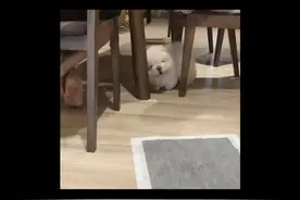 嬛嬛~是你吗嬛嬛！#孙俪终于不是微商头了 #孙俪视频封面
