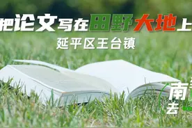 【到南平去 助乡村兴】第1期 把论文写在田野大地上 延平区王台镇视频封面