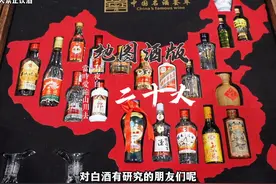 20种小酒版的酒版地图，确实非常精美， 有没有你家乡的酒呢？视频封面