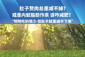 肚子赘肉总是减不掉?或是内脏脂肪作祟 该咋减肥?“明明吃的很少 但肚子就是减不下来”#减肥 #减肚子 #赘肉 #医学科普 #减脂