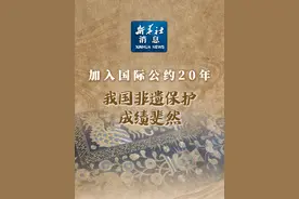 #新华社消息  ｜加入国际公约20年我国非遗保护成绩斐然视频封面