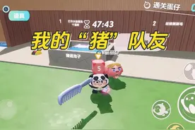 蛋仔派对：我的“猪”队友，队友变成了一头猪，还总想着坑我