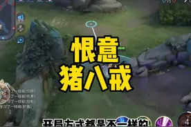 猪八戒天花板恨意细节，野猪流打法让对面野区不得安宁视频封面