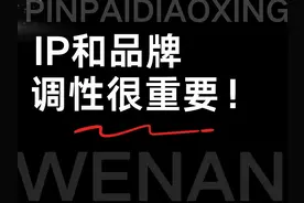 IP和品牌调性 你的调性决定了你的方向。#调性文案 #商业思维视频封面