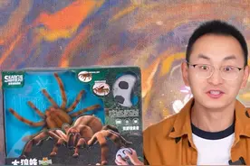 大狼蛛和大蟒蛇 嘉会峰动物猩球仿真遥控系列视频封面